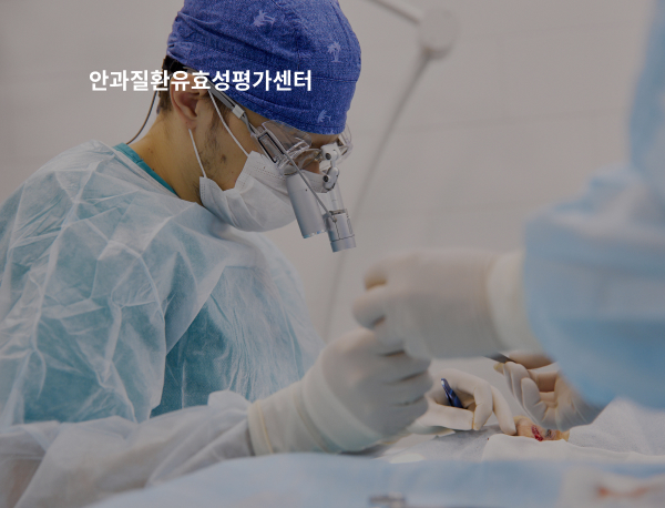 포트폴리오